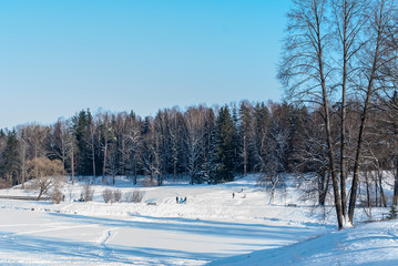 Snow-covered glade in the forest on a winter sunny day © liga258