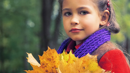 Autumn portrait of the nice little girl in red coat. In her hands a bouquet of yellow maple leaves. Sunny autumn day. Bright colors of autumn.