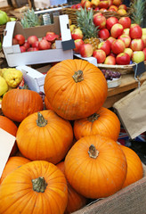 Halloween pumpkins and other fruits at the Borough market in London city United Kingdom