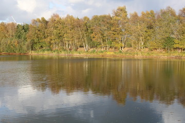 Reflection in a small lake