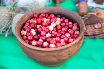 Cranberries in a clay pot