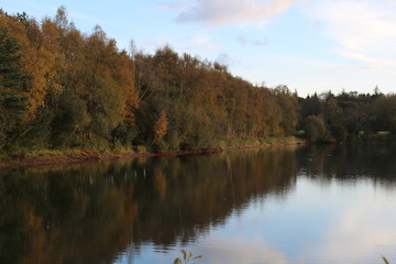 Fototapeta na wymiar Reflection in a small lake