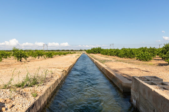 irrigation watercourse canal between Algemesi and Benifaio, province of Valencia, Spain
