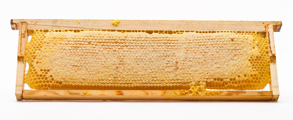 Bee Honeycombs In A Frame On A White Background. Isolation.