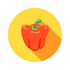 Vector illustration of vegetables. Red sweet pepper.