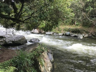 rio natural
