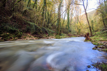 Obraz premium waterfalls of Trevi nel lazio. a Creek in the Woods in autumn 