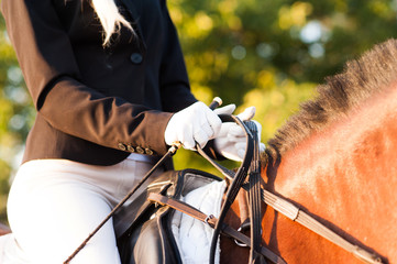 Rider's hand close-up holds horse halter,leather covered chain lead. Horse theme