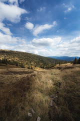 Fototapeta premium A dilapidated ditch where the river flowed before.