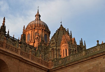 Salamanca. Castilla y León. Spain. Cathedral. Golden stone