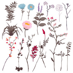 Set of  vector  beautiful artistic bright botanic flowerst.