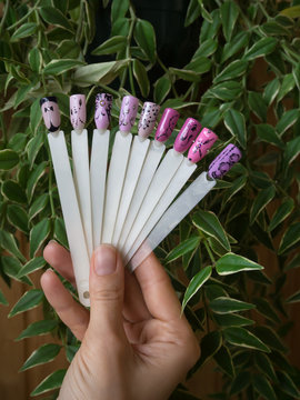 Nail design, the choice of pattern tips. Painted tips on the background of green leaves.