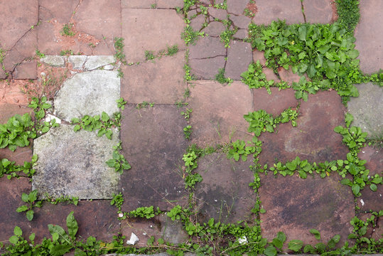 Looking down on cracked red sandstone pavement with weeds