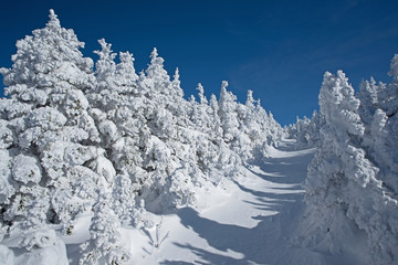 Sentier de raquette en montagne couvert de neige vierge