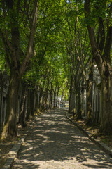 camino del cementerio parisino