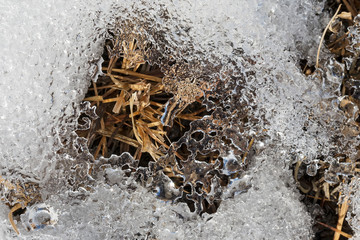 Close-up of melting snow. Thawing snow on land