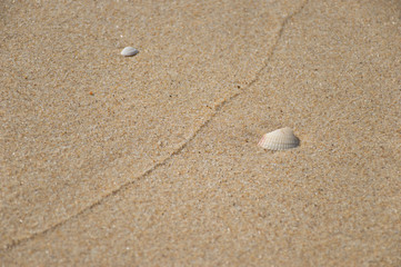 One little shelf and one broken shelf on the beach separated by a line of sand