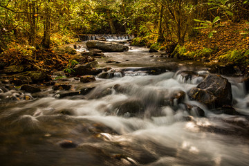 Woodland stream long exposure