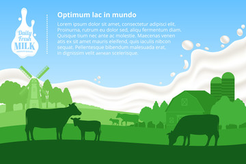 Vector milk illustration with cows, calves, farm and milk splash © Vlad Klok
