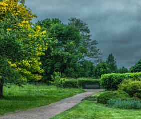 Fototapeta na wymiar path in park under cloudy sky