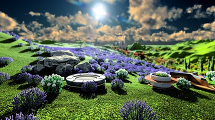 Lavender field at sunset