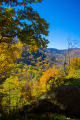 Fototapeta na wymiar Beautiful Fall Overlook in Smokeys
