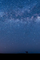 Silhouette eines Kamels in der W&uuml;stennacht unter der Milchstra&szlig;e