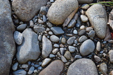 River Rocks