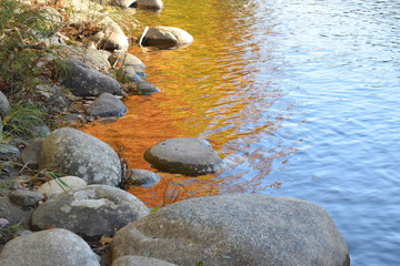 Fototapeta na wymiar River Fall Reflections
