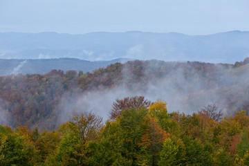 Fall landscape with colorful trees