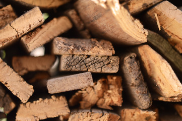 Felled trees in the forest industry by