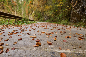 Empty road in the mountains