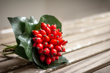 red rosehips berries
