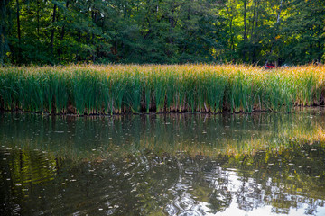 Autumn Atmosphere in Germany