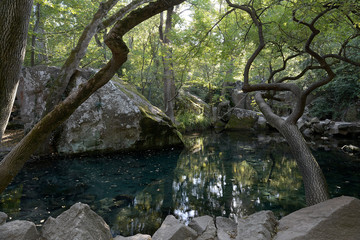 Teich im Park.Herbst