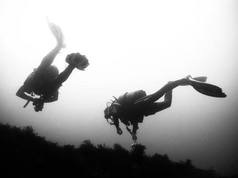 plongeurs noir blanc dessous