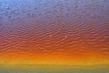 Fototapeten Tibet. Orange water in the lake of Sam Co near the shore in summer © irinabal18