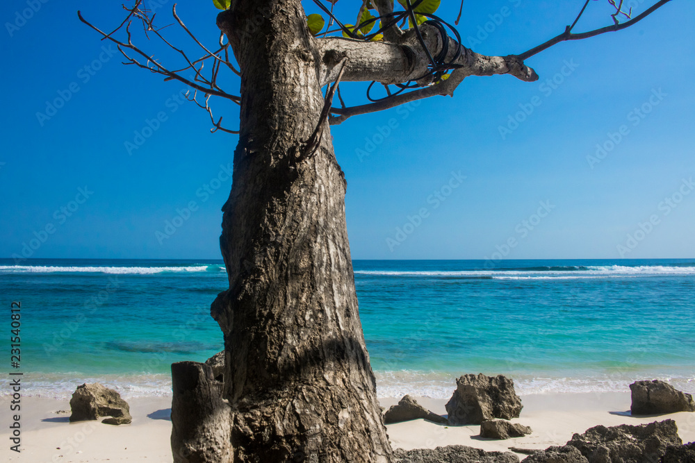 Wall mural beautiful summer beach view