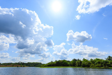 Panorama from Amazon rainforest, Brazilian wetland region.