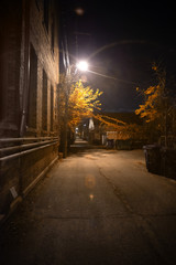 Dark and spooky vintage downtown urban city street alley with illuminated fall autumn tree leaves at night