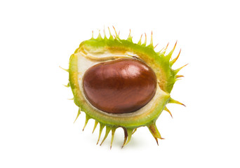 chestnut with peel isolated
