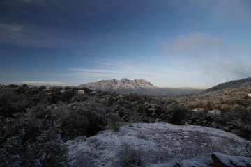 Montserrat Nevado