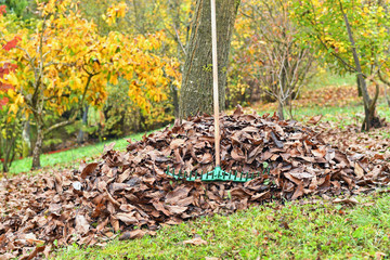 Rake with fallen leaves at autumn