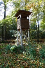 Hochstitz Wald