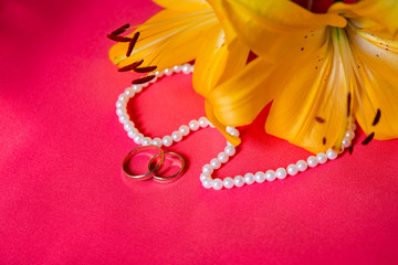 rings on pink background