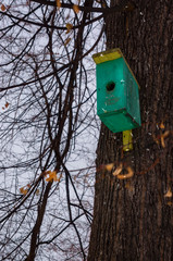 Nesting box on a tree