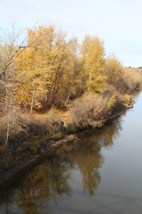 Autumn On The Riverbank, Gold Bar Park, Edmonton, Alberta