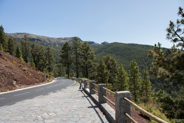 На острове Тенерифе / On the island of Tenerife