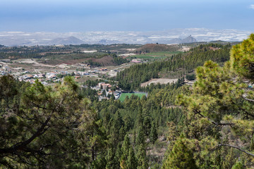 На острове Тенерифе / On the island of Tenerife