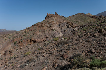 На острове Тенерифе / On the island of Tenerife